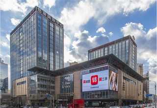 连云港绿宝石蓝莓苗多少钱